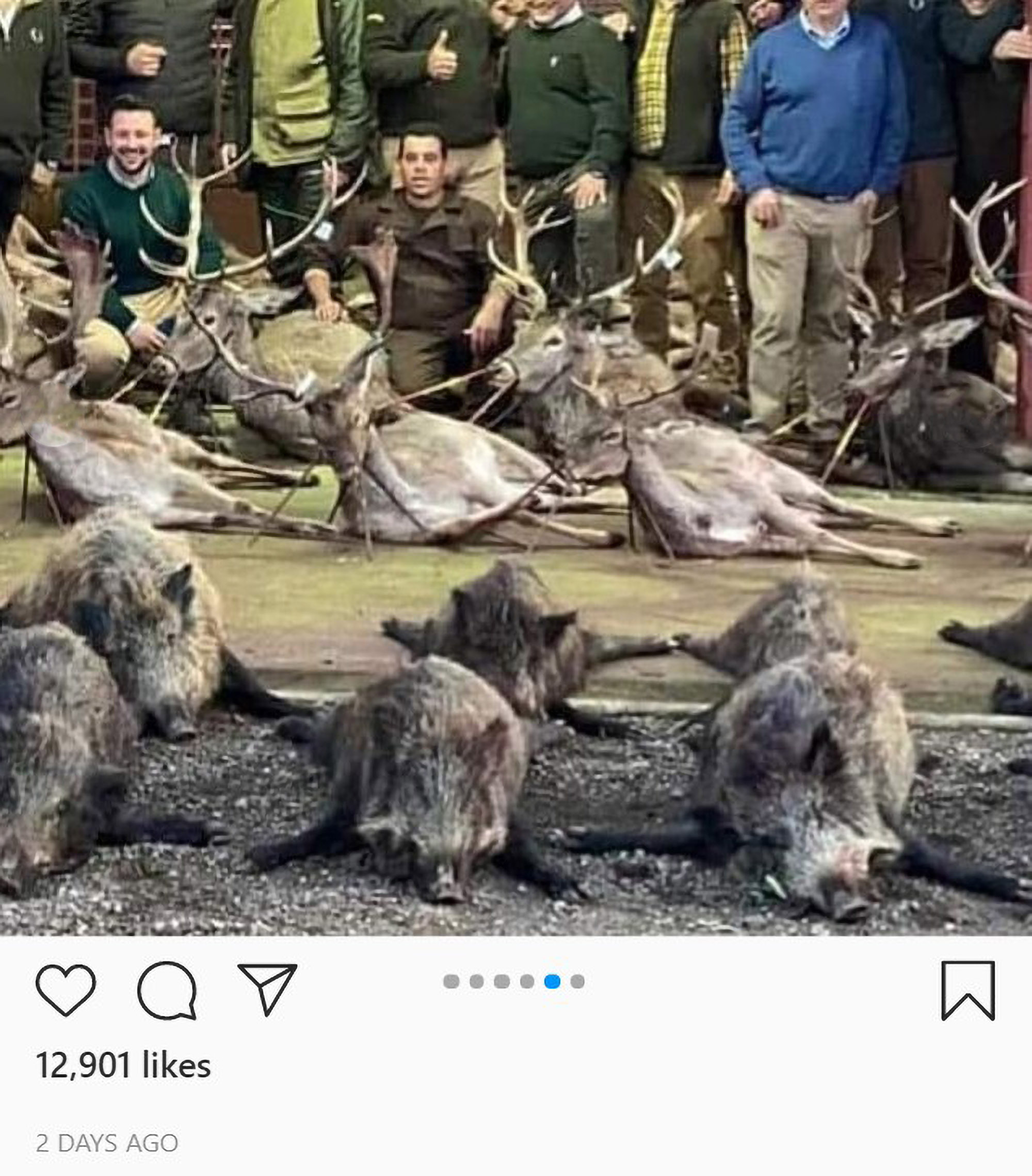 Read more about the article Bodies Of Over Hundreds Of Deer And Wild Boar Scattered Over Ground After Illegal Christmas Hunt
