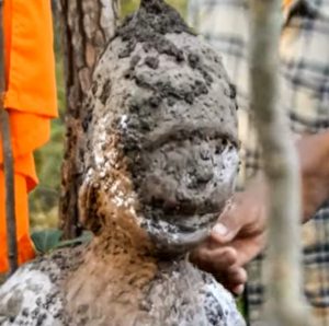 Read more about the article Mysterious Termite Mound Resembling Boy Found In Jungle