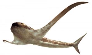 Read more about the article Palaeontologists Discover 93-Million-Year-Old Winged Shark