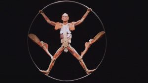 Read more about the article German Centre To Showcase Body Worlds And Terracotta Army At Same Time