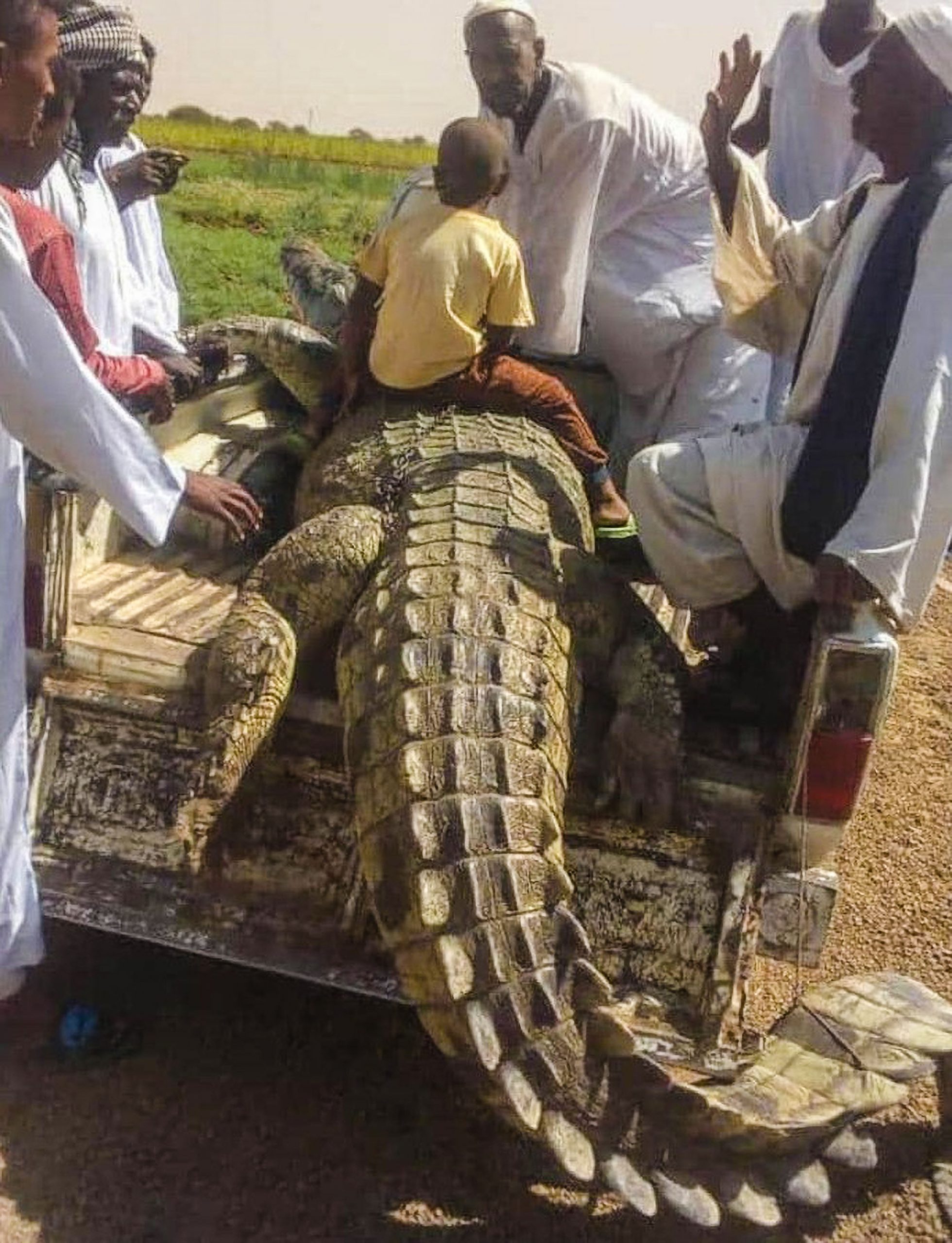Read more about the article Brave Farmer Kills Giant Man-Eating Crocodile After 21-Day Hunt