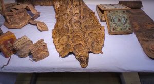 Read more about the article Python Skin With Religious Symbols Dating To Middle Ages Seized From Smugglers