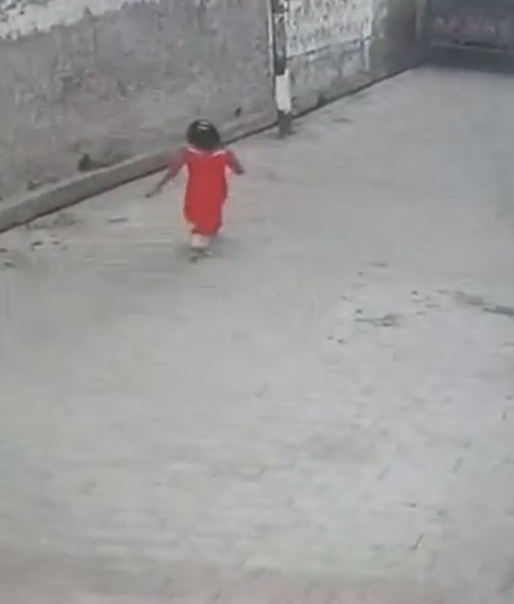 Read more about the article Shock Moment Young Girl In Red Dress Attacked By Pack Of Wild Dogs