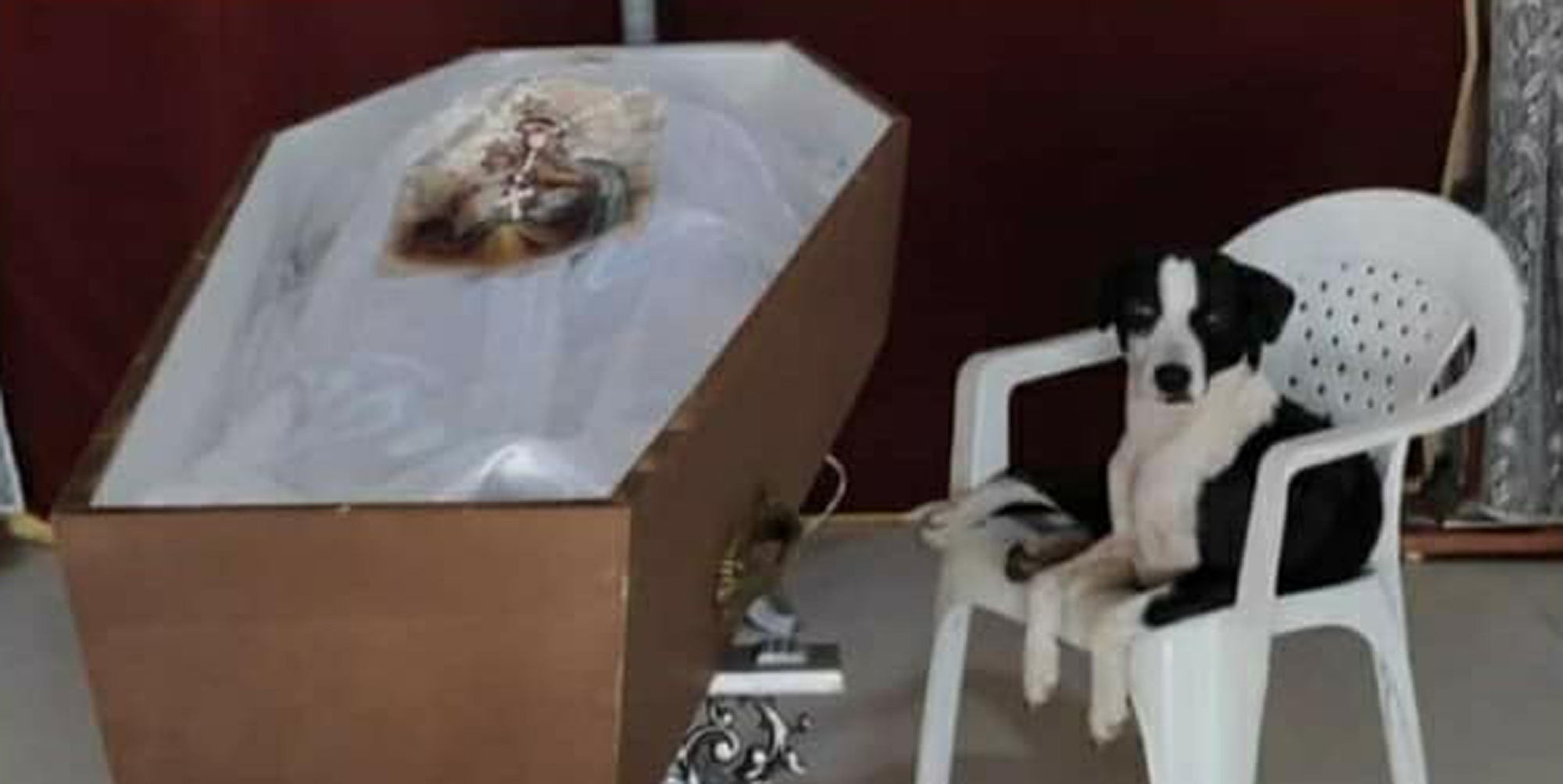 Read more about the article Sad Pooch Snapped Next To Owners Sick Bed And Coffin In Heartbreaking Photo