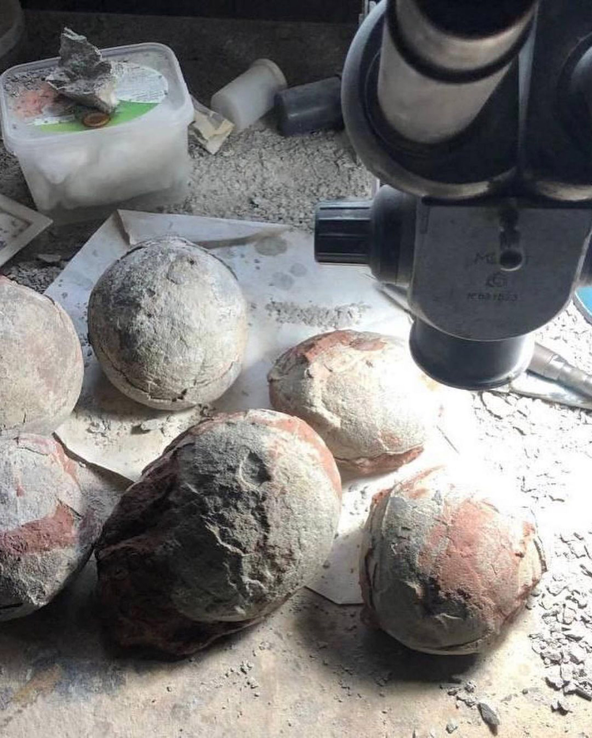 Read more about the article Artist Paints On 100-Million-Year-Old Fossilised Dinosaur Eggs For Russian Easter At The Weekend