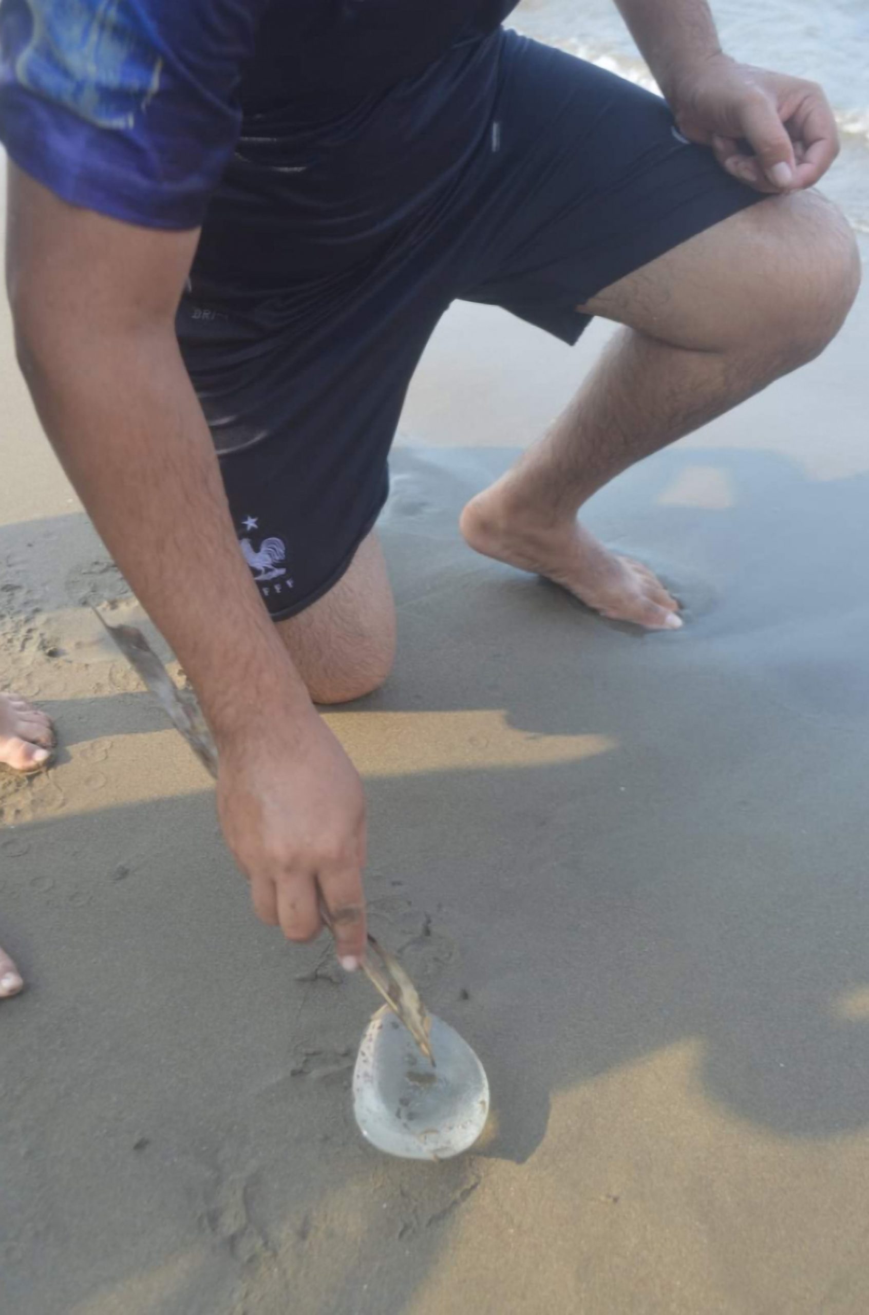 Read more about the article Beachgoers Confuse Fake Breast For Jellyfish Washed Up On The Coast