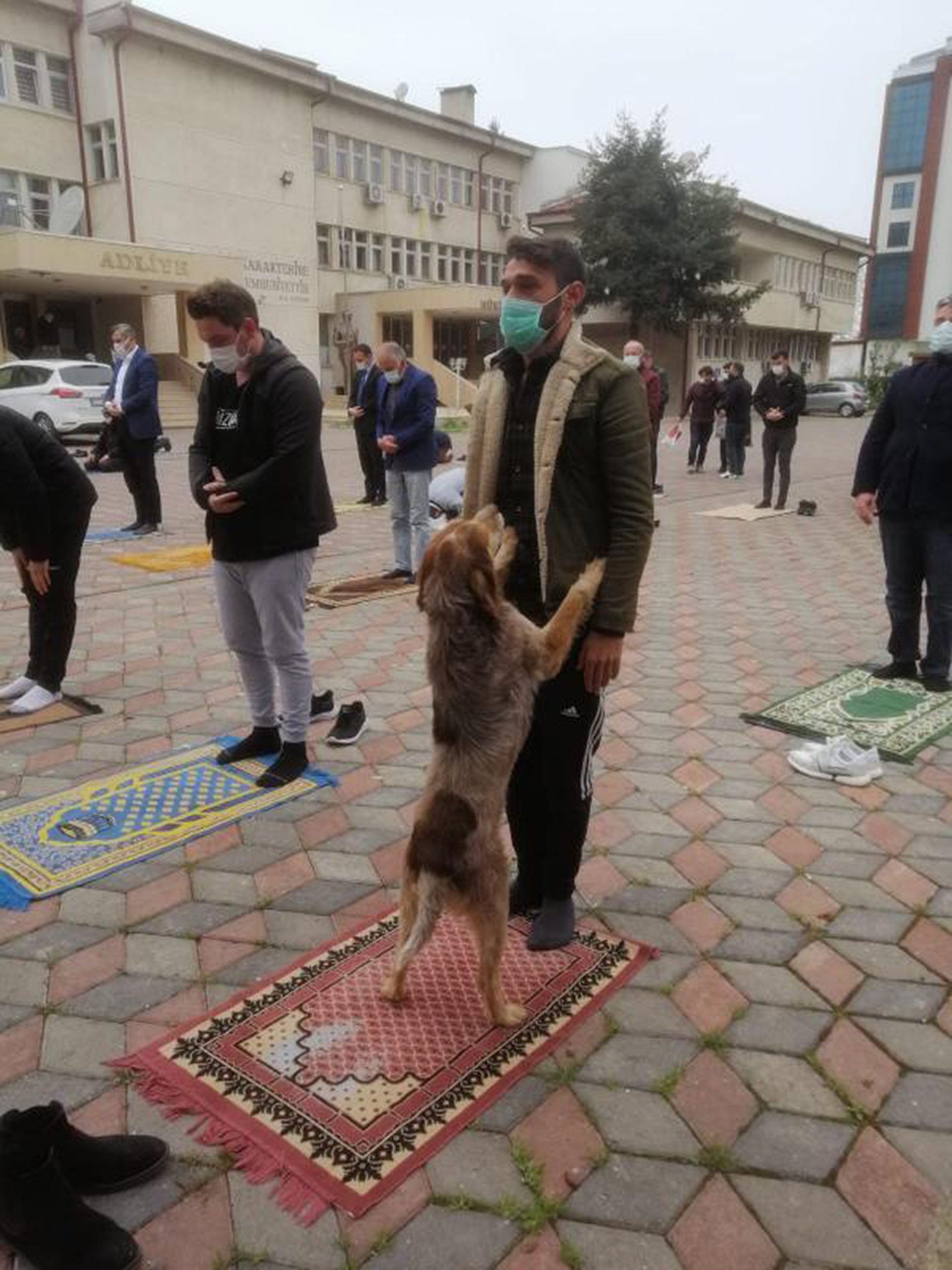 Read more about the article Moment Stray Dog Pesters Muslim Praying In Mosque Courtyard During Ramadan
