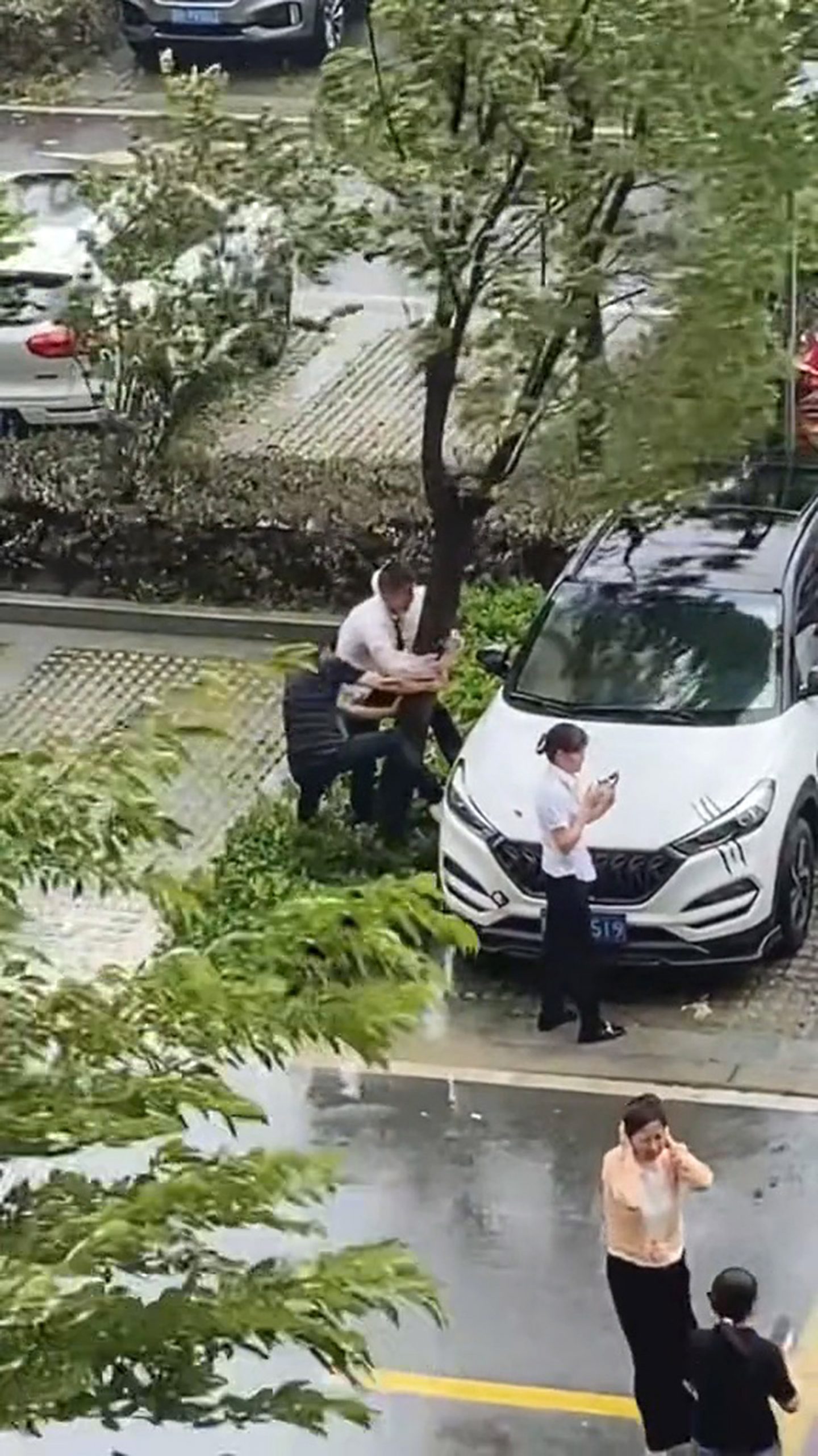 Read more about the article Security Guards Praised For Stopping Tree Falling On Car During Typhoon