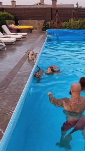 Read more about the article Russian Rapper And Model Wife Spark Outrage After Filming Kids Swimming With Tigers
