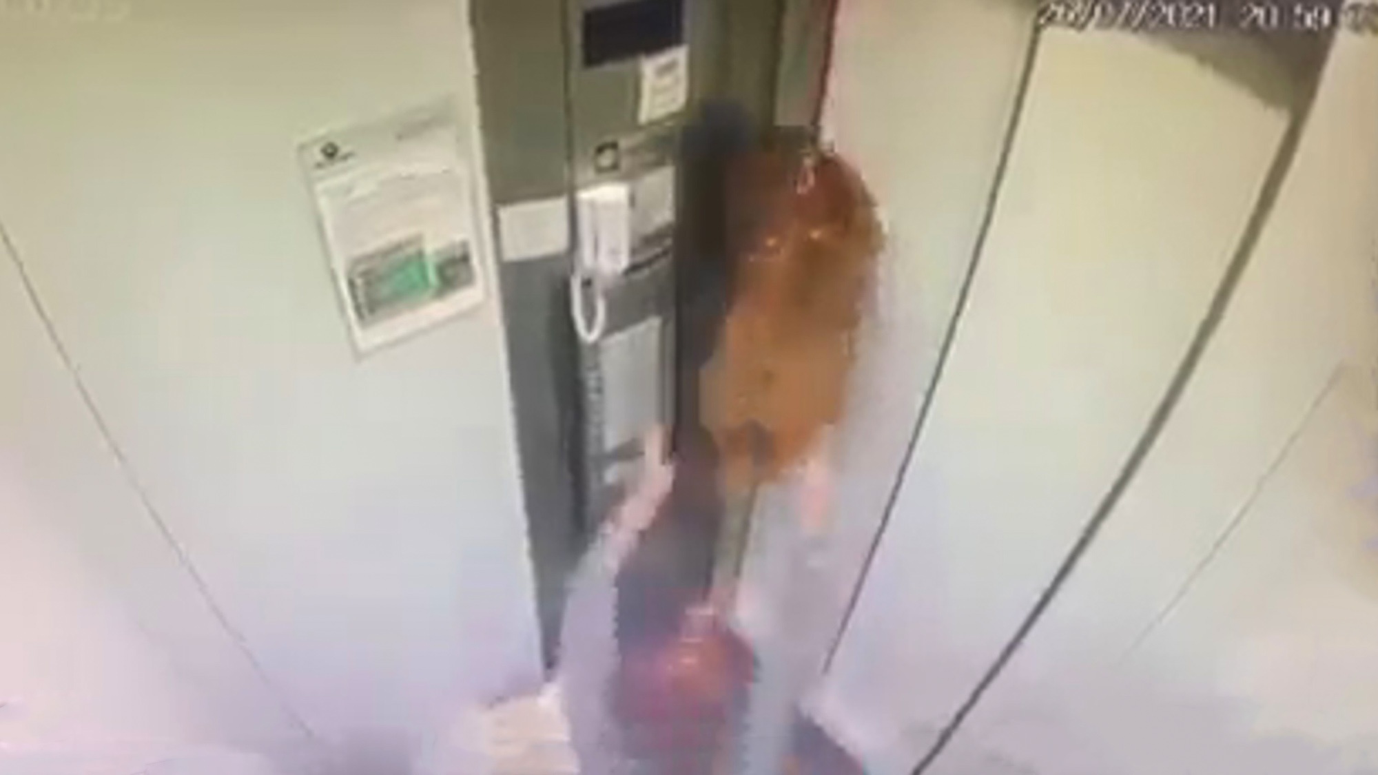 Read more about the article Clip Shows Womans Horror As Her Pet Dog Is Hoisted To Top Of Lift By Neck After Leash Got Stuck In Door