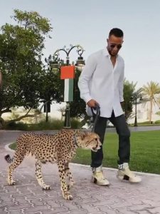 Read more about the article Flash Egyptian Star Filmed Walking Cheetah And White Tiger On Streets Of Dubai