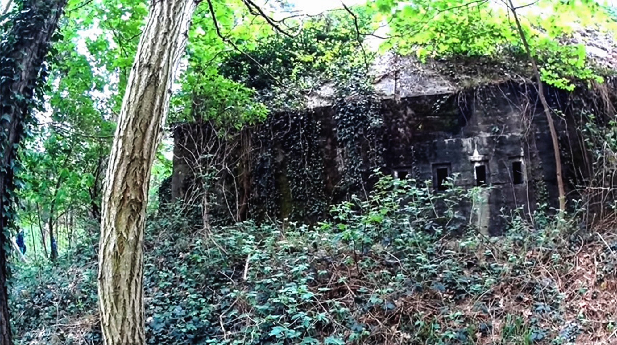 Read more about the article Young Mother Found Dead In Old Nazi Bunker In Forest