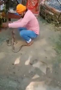 Read more about the article Snake Charmer Fatally Bitten By Snake During Hindu Festival