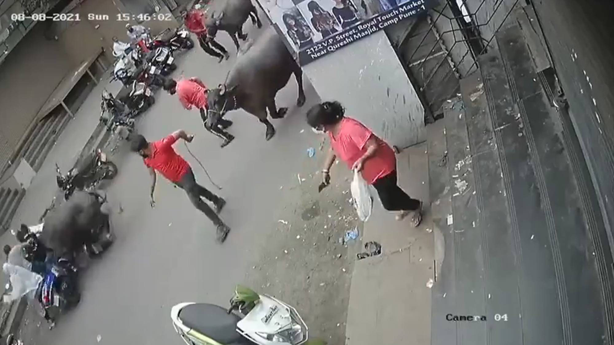 Read more about the article Moment Huge Buffalo Charges And Rams Parked Scooters In India As People Scatter In Terror