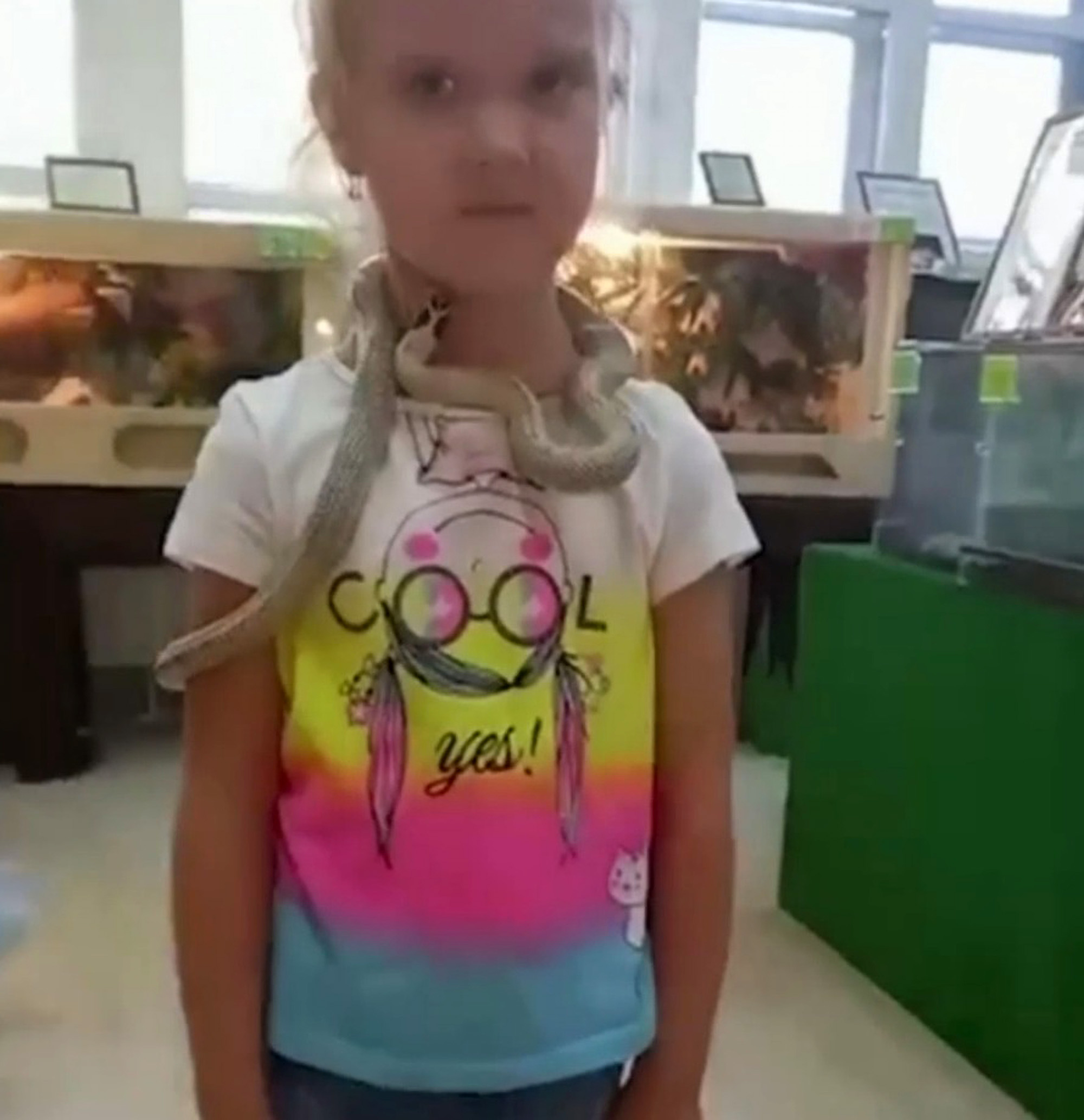 Read more about the article Moment Snake Bites Girl, 5, On Face At Russian Petting Zoo