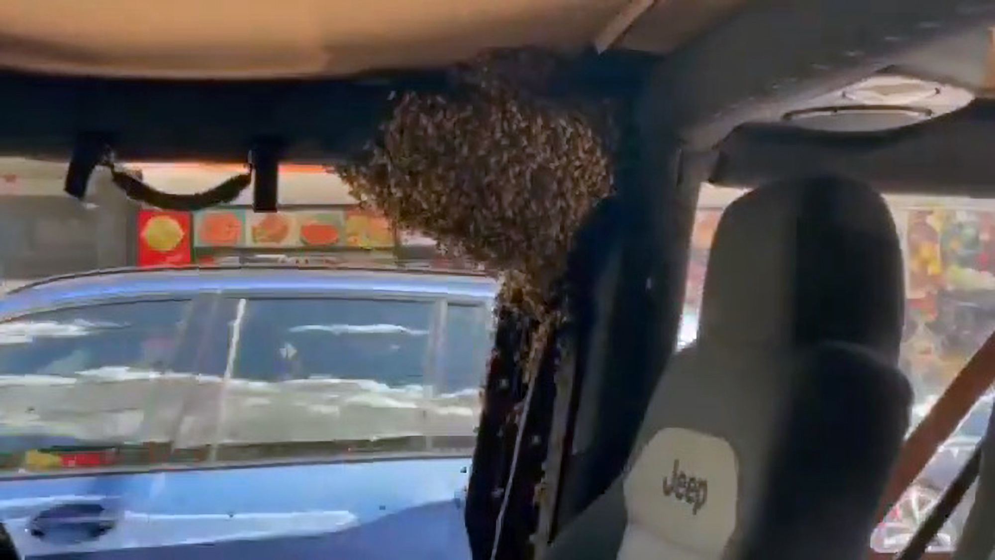 Read more about the article Aussie Man Pops To Shops For 10 Mins And Returns To Find Jeep Filled With Thousands Of Bees