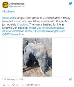 Read more about the article Man Trampled To Death By Elephant While Taking Selfies