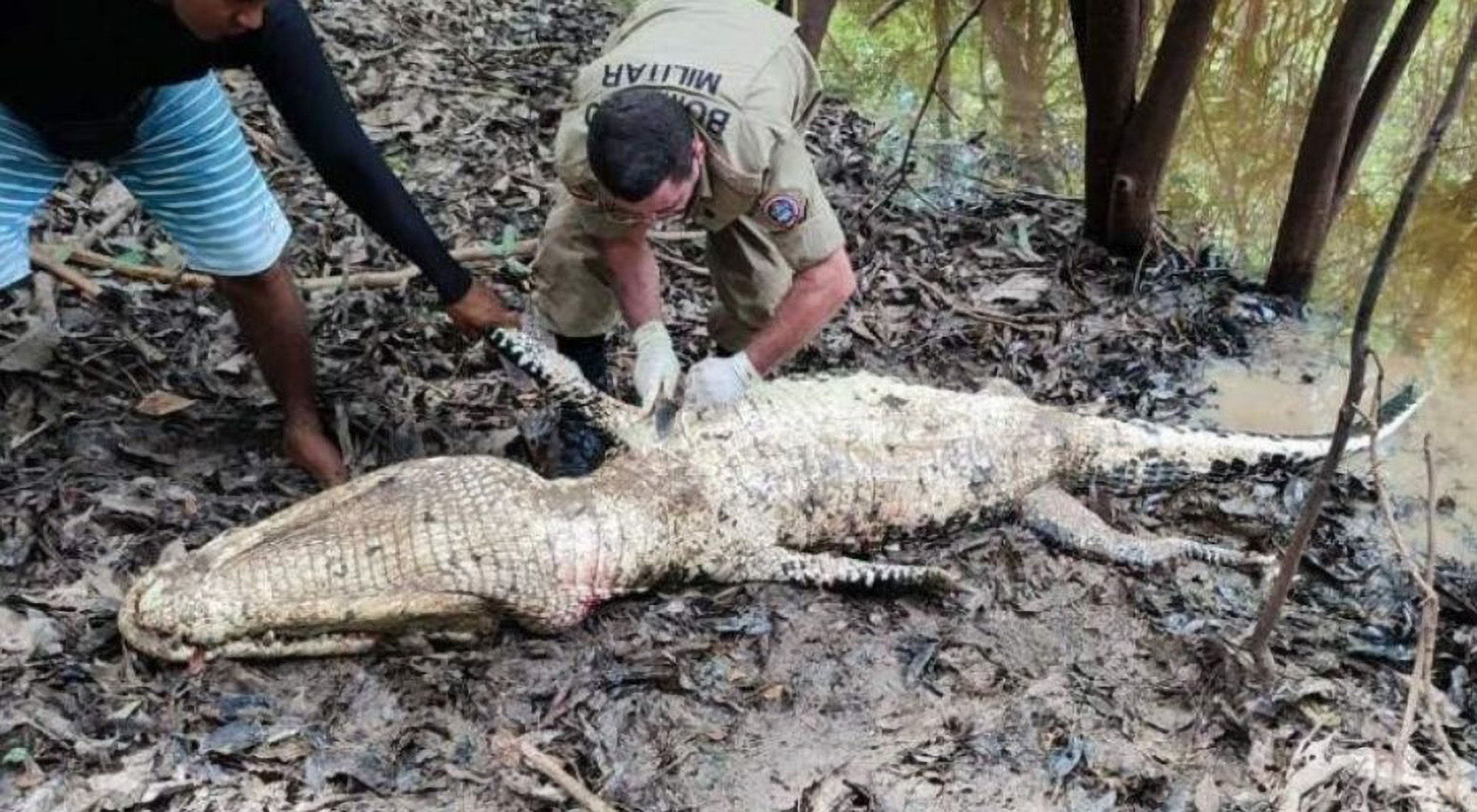 Read more about the article Body Of Missing Fisherman Attacked In Amazon By Pirates Found Being Eaten By 10 Foot Long Caiman