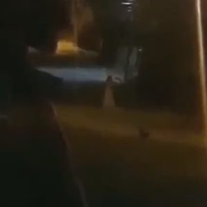 Read more about the article Young Woman Dressed As A Ghost At Night To Scare People Is Shot Dead