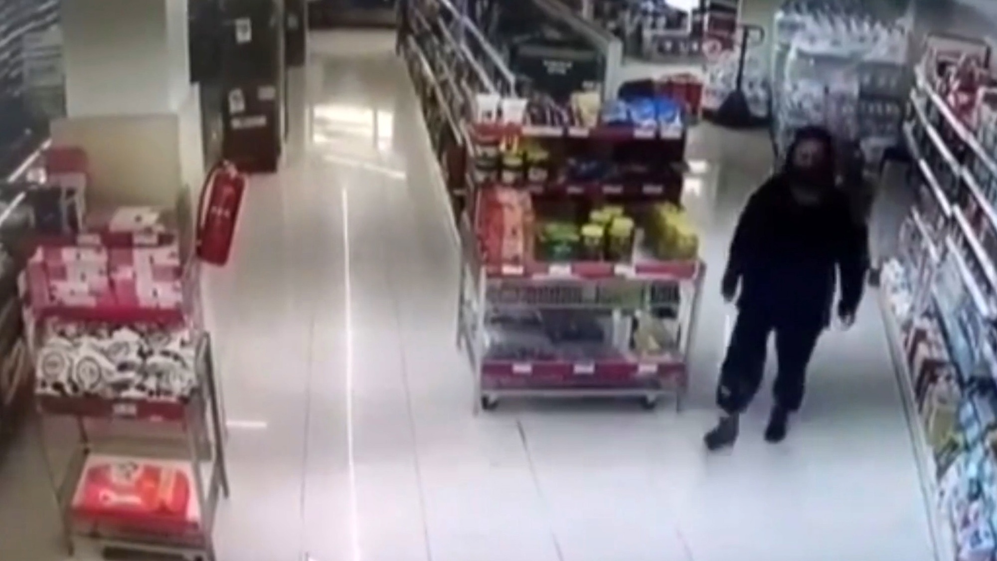 Read more about the article Shopper Knocks Over Fire Extinguisher Which Explodes Covering Store In Toxic Powder
