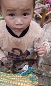 Read more about the article Chinese Mum Watches Toddler Catch Two Mice With Bare Hands