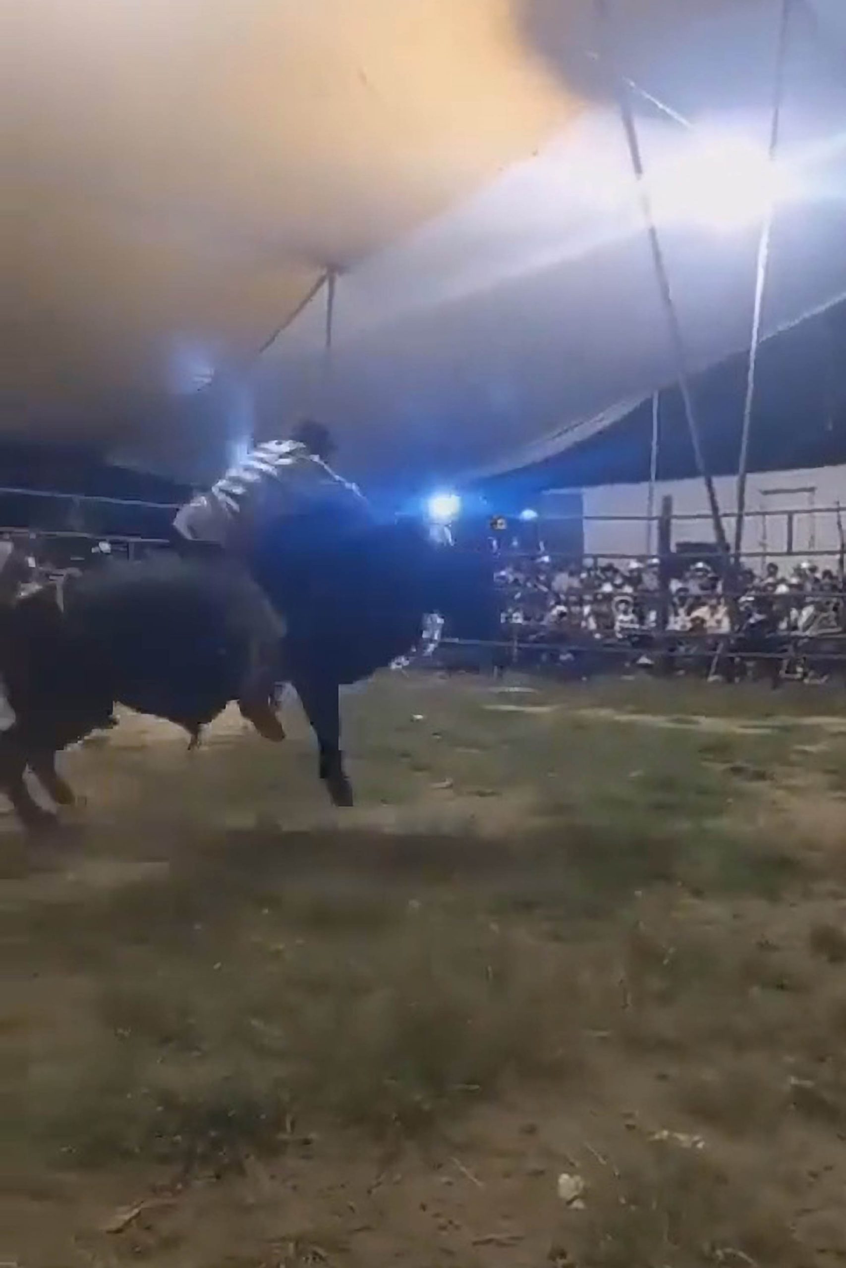 Read more about the article Rodeo Rider, 15, Trampled To Death By Bull After Trapping Spur In Stirrup