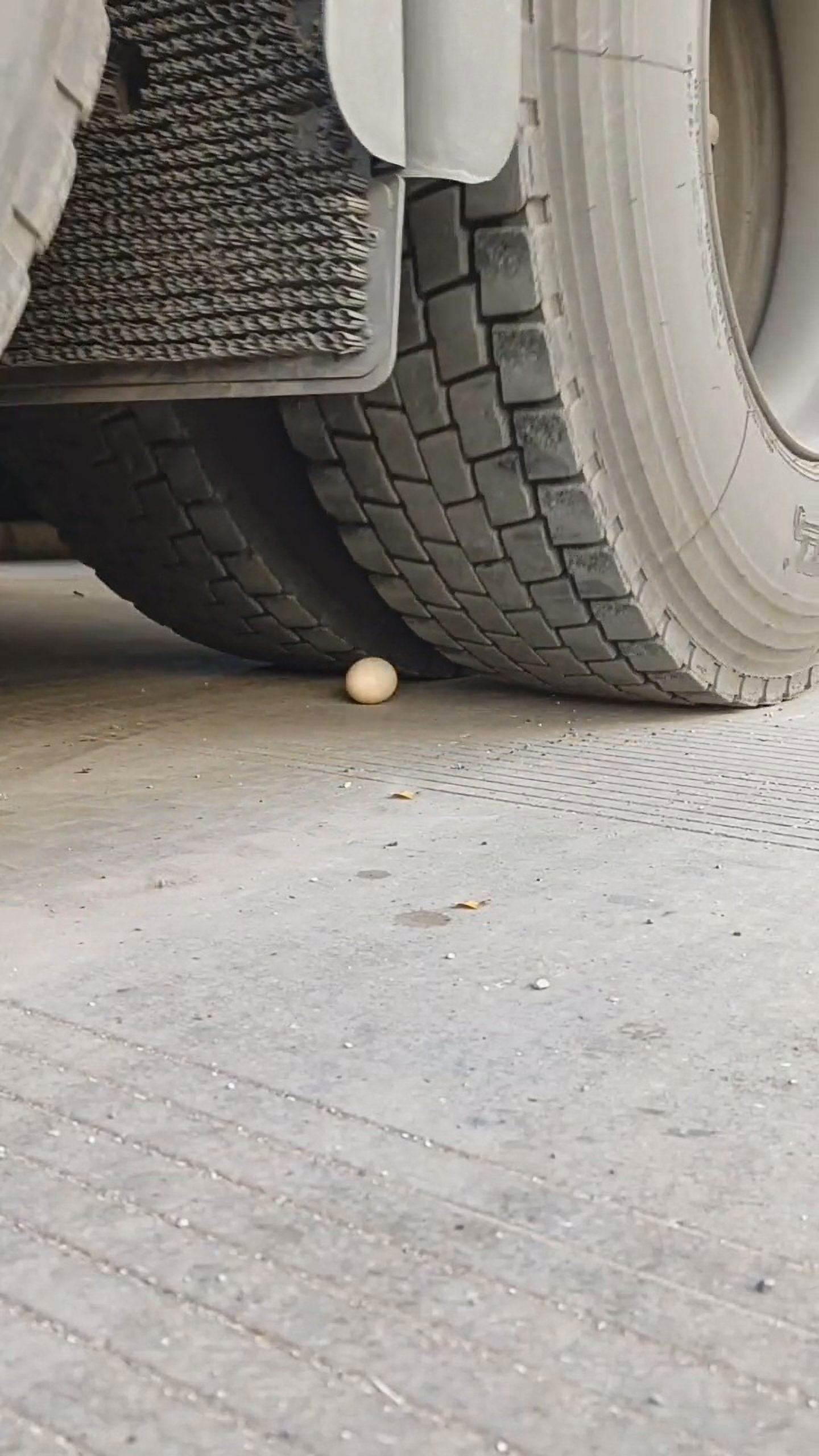 Read more about the article Lorry Driver Shows Off Skills By Driving Over Egg On Ground Without Breaking It