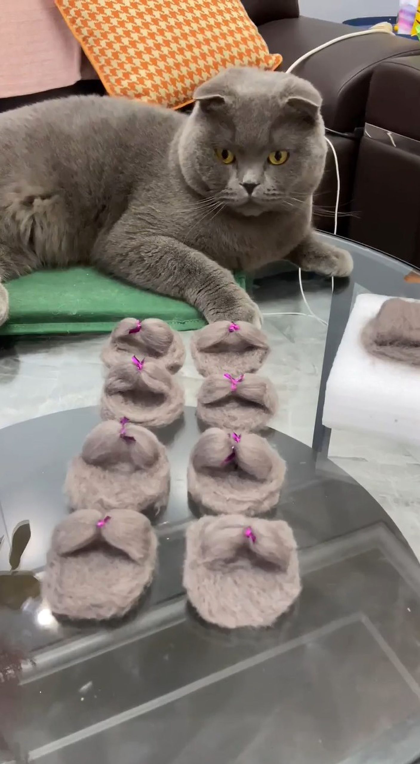 Read more about the article Cat Owner Saves Up Fur For 18 Months To Make 4 Pairs Of Tiny Slippers