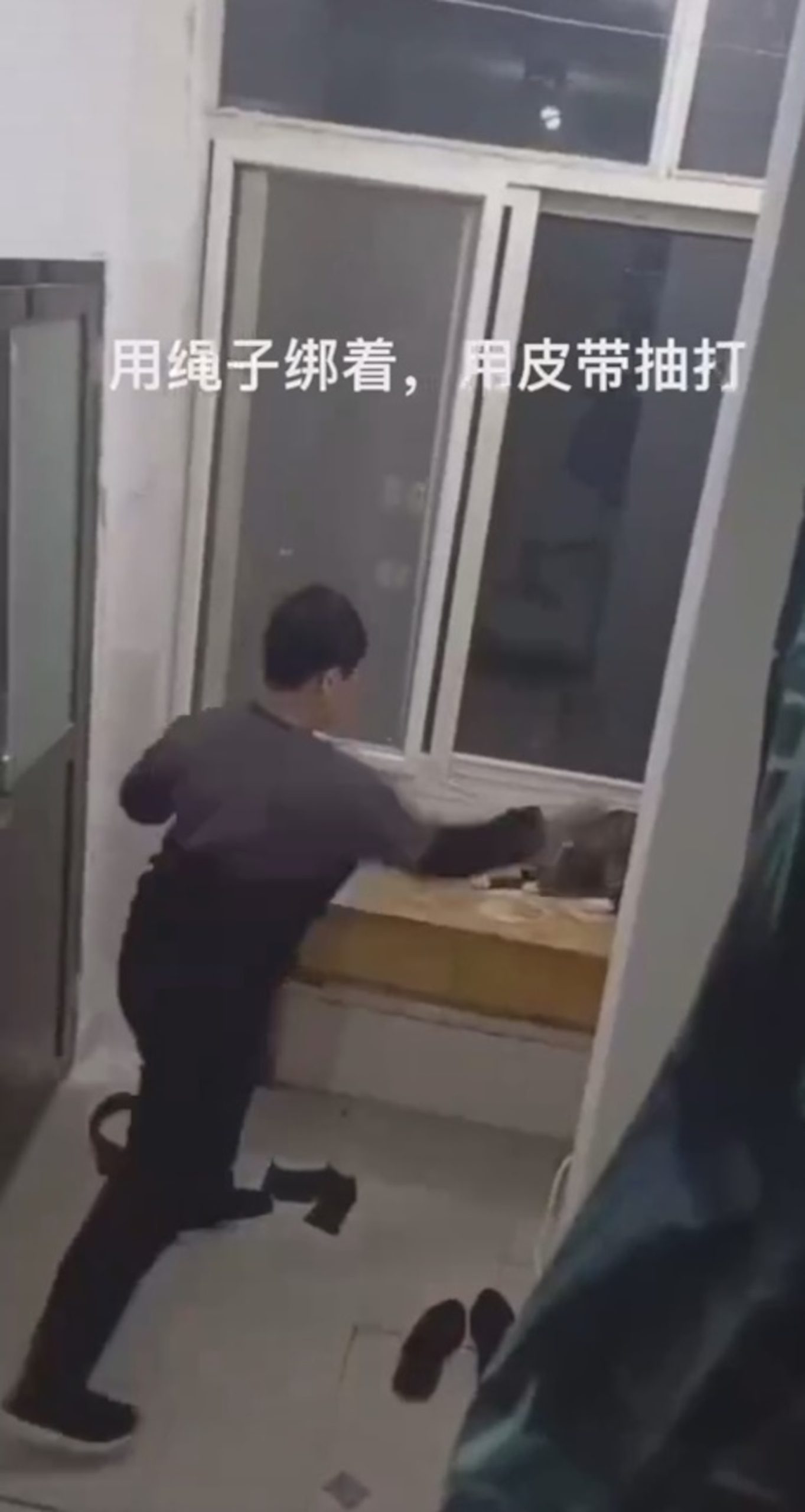 Read more about the article Chinese Student Ties Cat With Rope And Beats It With Belt