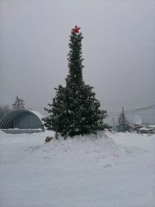 Read more about the article Russian Villagers Outraged By Phallic-Shaped Christmas Tree