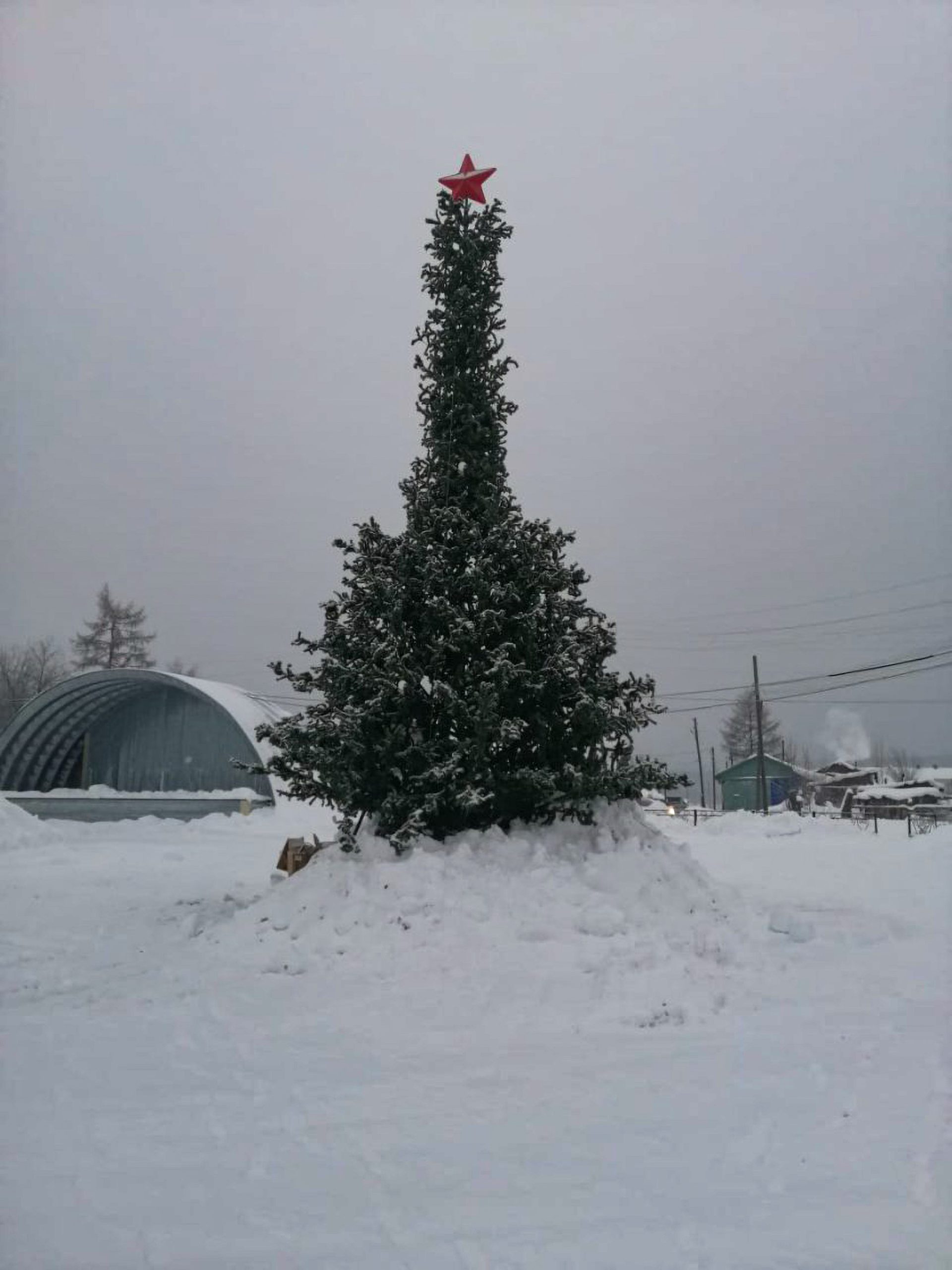 Read more about the article Russian Villagers Outraged By Phallic-Shaped Christmas Tree