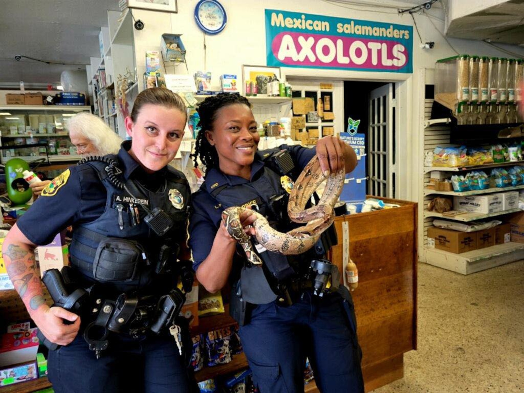 Read more about the article Female Florida Cops Pluck Five Foot Long Boa Constrictor From Mans Newly Delivered Sofa