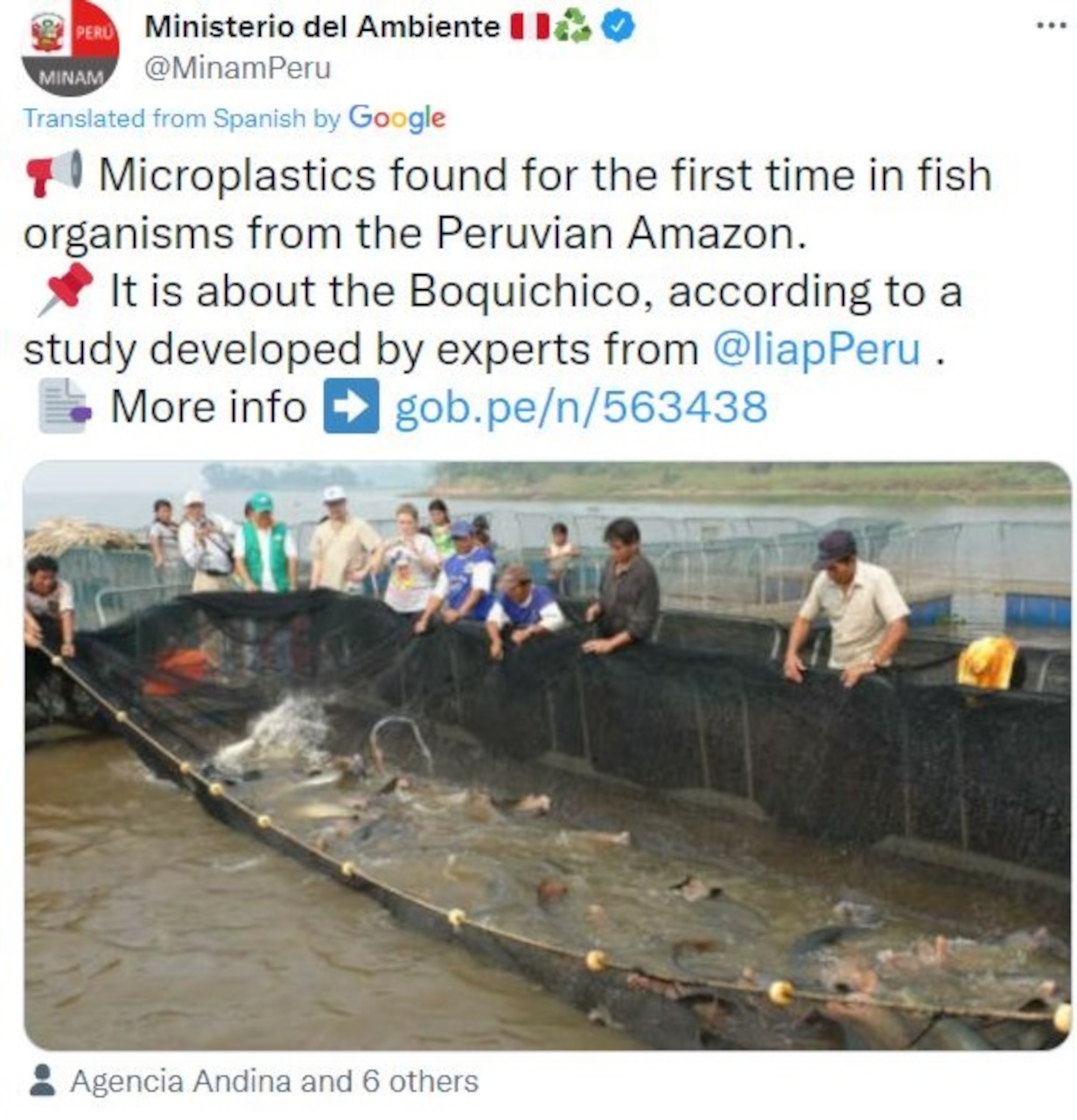 Read more about the article Microplastics Found For The First Time In Fish From Peruvian Amazon