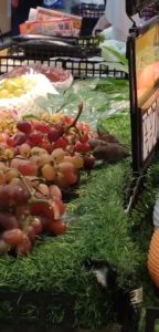 Read more about the article Disgusting Moment Mischief Of Large Rats Gnaw On Supermarket Grapes In Front Of Horrified Shoppers