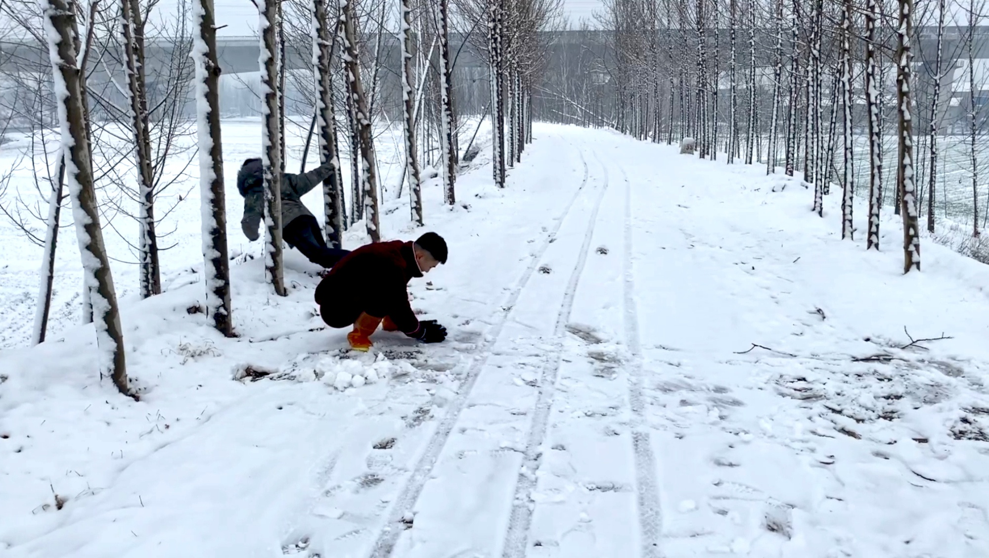 Read more about the article Funny Moment Boy Tries Kick Snow-Laden Tree In Winter Wonderland But Misses And Tumbles Down Hill