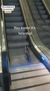 Read more about the article Stubborn Cat Insists On Trying To Go Up Wrong Way On Escalator