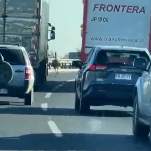 Read more about the article Bizarre Video Shows Emu Running Down Chilean Motorway And Causing Traffic Jam