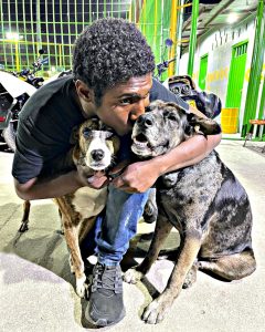 Read more about the article Viral Moment Homeless Man Celebrates Birthday With His Dogs In The Street