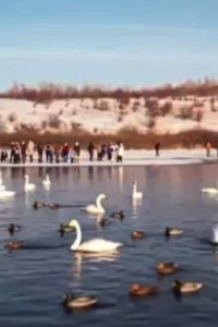 Read more about the article Unsuspecting Tourist Films Himself Fall Through Thin Ice With Drone