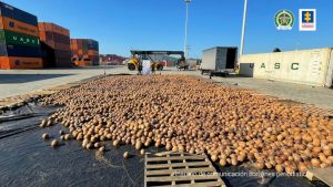 Read more about the article Coke-A-Nut: Cops Bust Colombian Drug Smugglers With 20,000 Coconuts Filled With Cocaine Set To Be Shipped To Europe