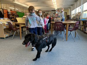 Read more about the article Massachusetts Schools Are Using Specially Trained Dogs To Detect COVID-19