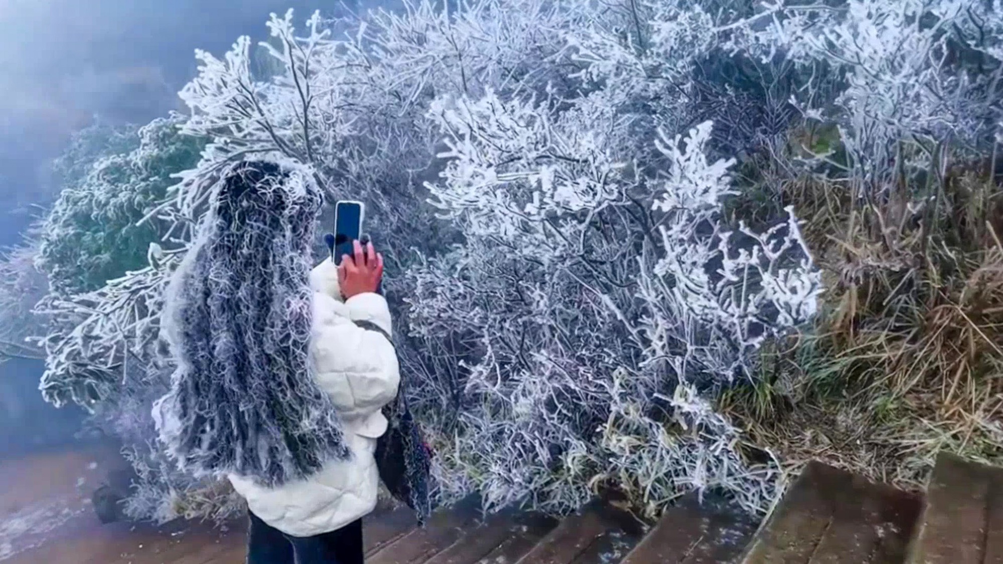Read more about the article Young Woman Tourist Becomes Ice Queen After Hair Freezes On Mountaintop