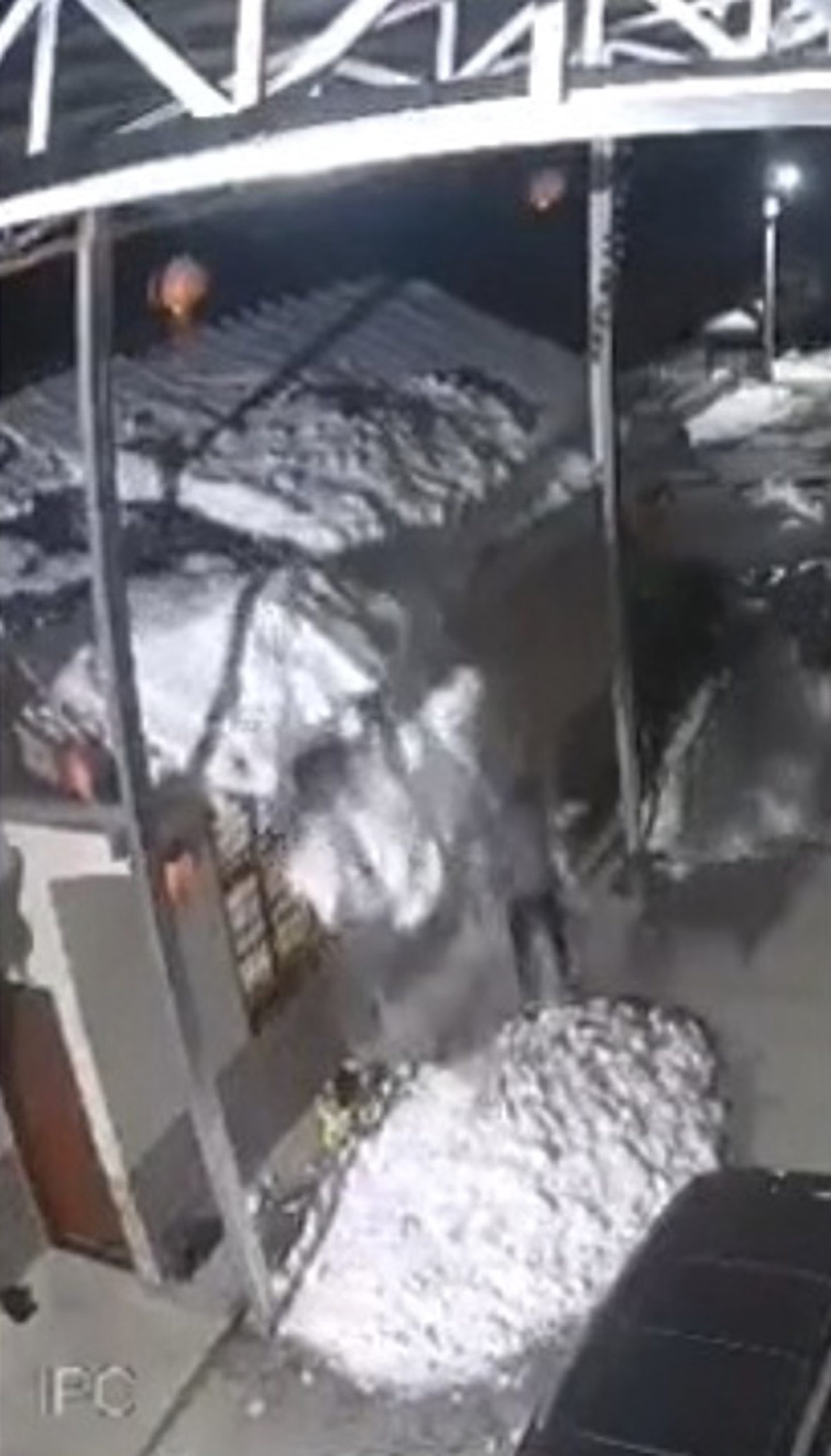 Read more about the article Shovelling Woman Lands In Soft Snowdrift After Falling From Roof
