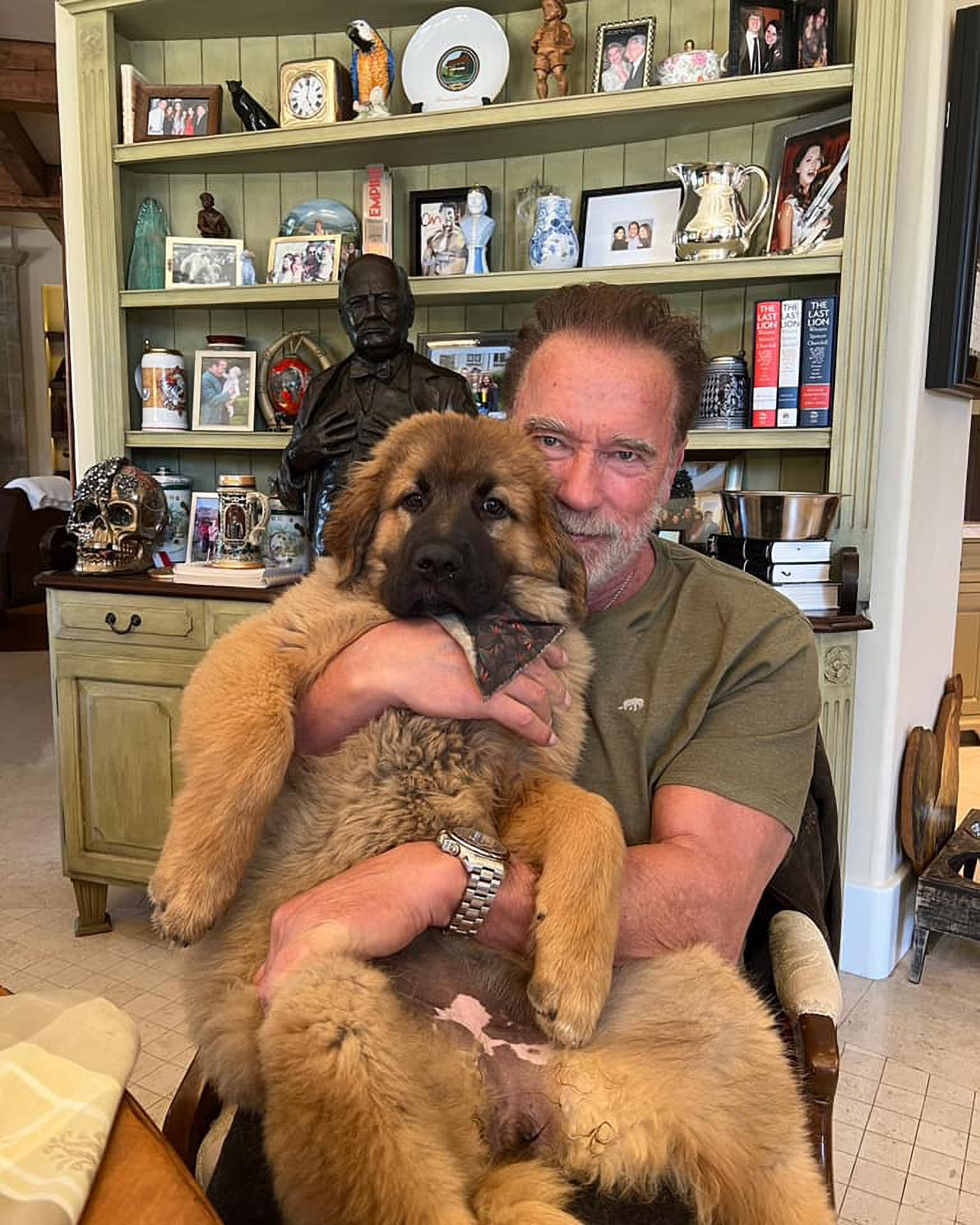 Read more about the article Arnold Schwarzenegger Says He Named His Cute New Dog Schnitzel After His Favourite Dish