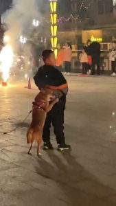 Read more about the article Nervous Dog Cowers Behind Owner On Hind Legs During Fireworks Display