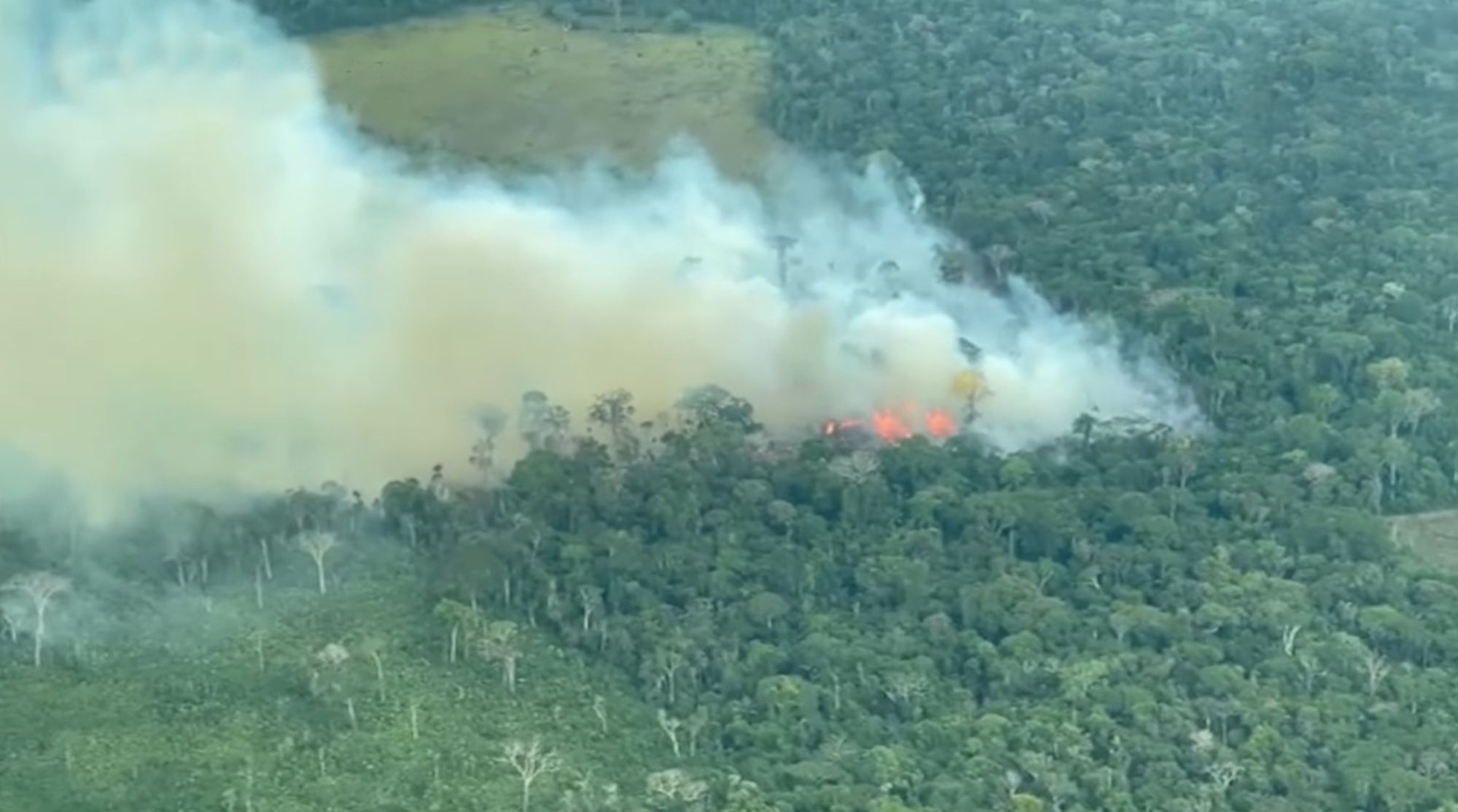 Read more about the article Over 300 Wildfires Batter Colombia As Criminal Groups Deforest Land For Illicit Crops