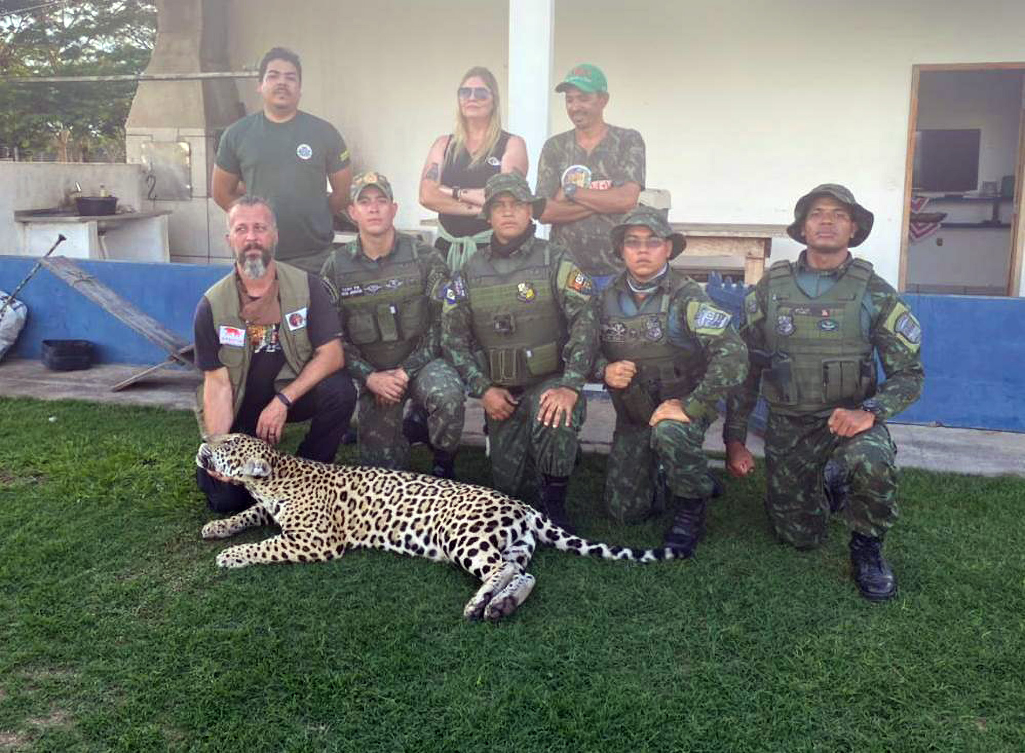 Read more about the article Jaguar Orphaned By Wildfires As Cub And Domesticated Is Rescued By Cops After Becoming Threat