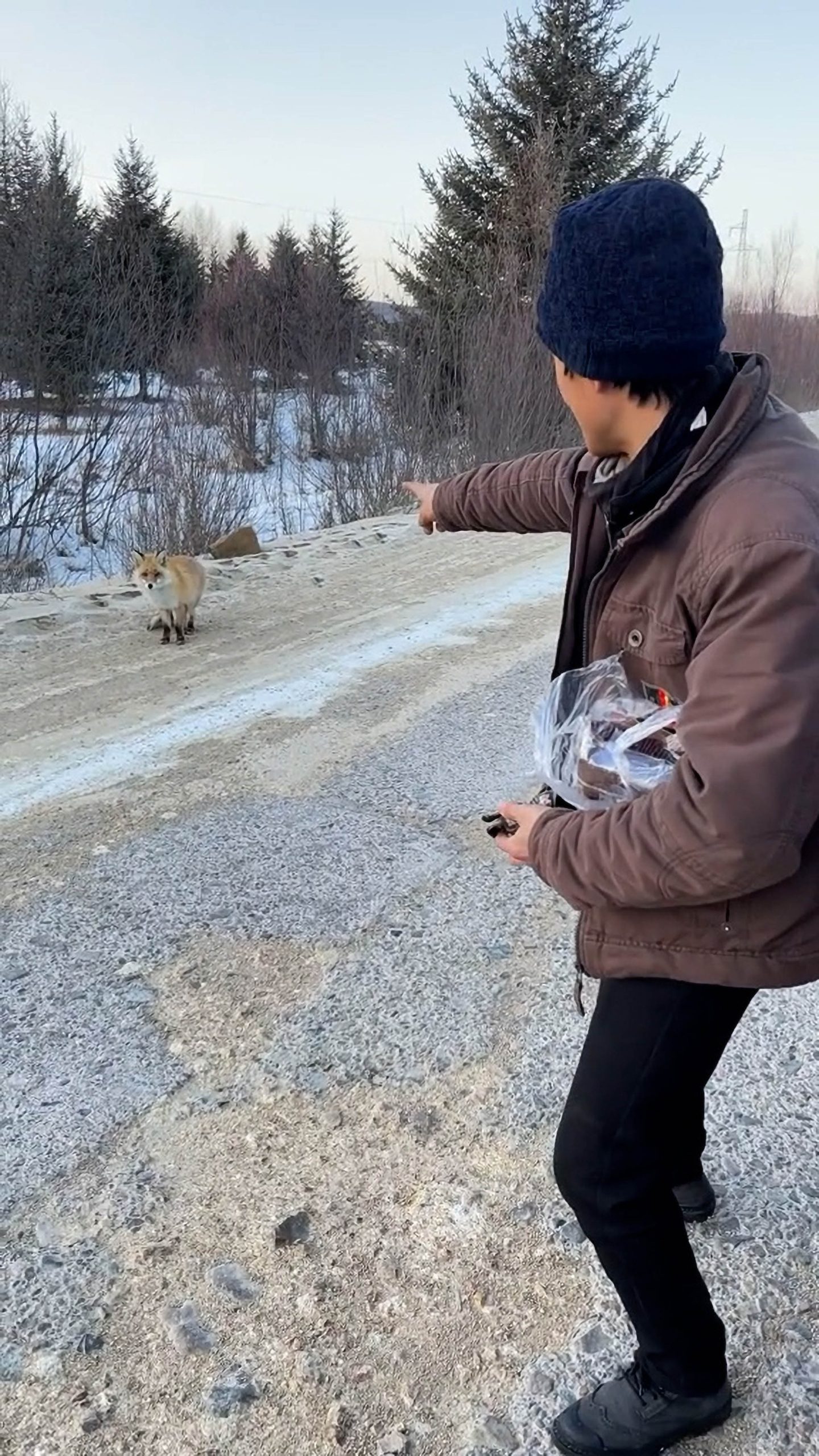 Read more about the article Chinese Driver Stops In Wilderness To Feed Hungry Fox Asking For Food