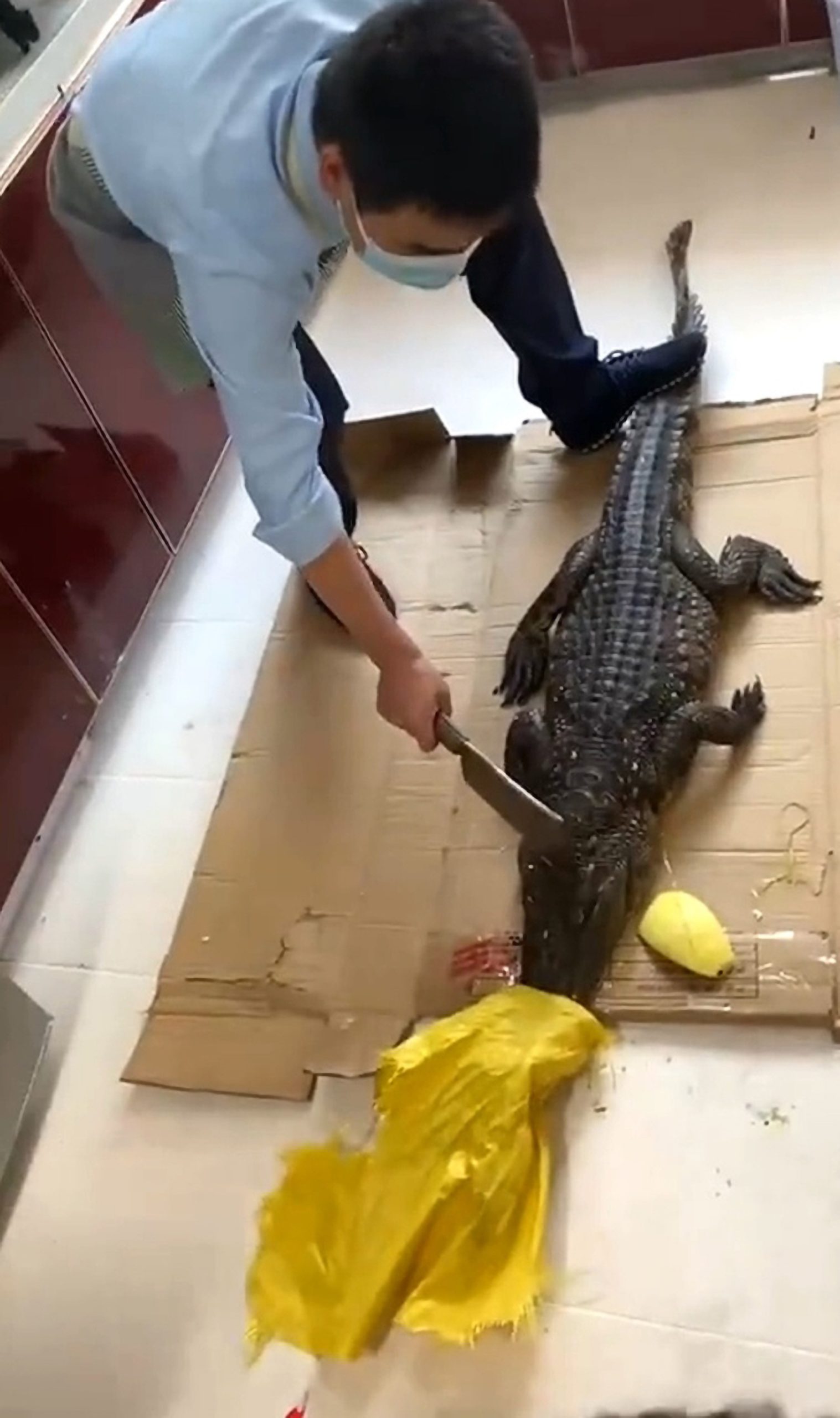 Read more about the article Crocodile Springs To Life When Chinese Cook Plunges Cleaver Into Head