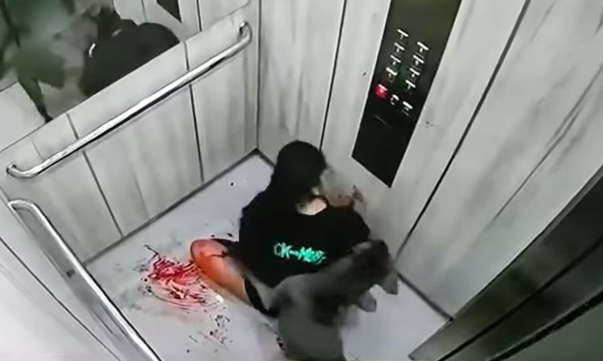 Read more about the article Horror Film Moment Woman Drags Bloodied Body Into lift As Pit Bull Tears At Flesh